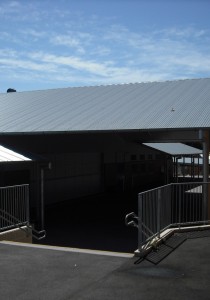 15 October 2008 001 15 October 2008 001