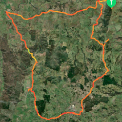 Screen Shot 2022-03-14 at 12.42.53 pm